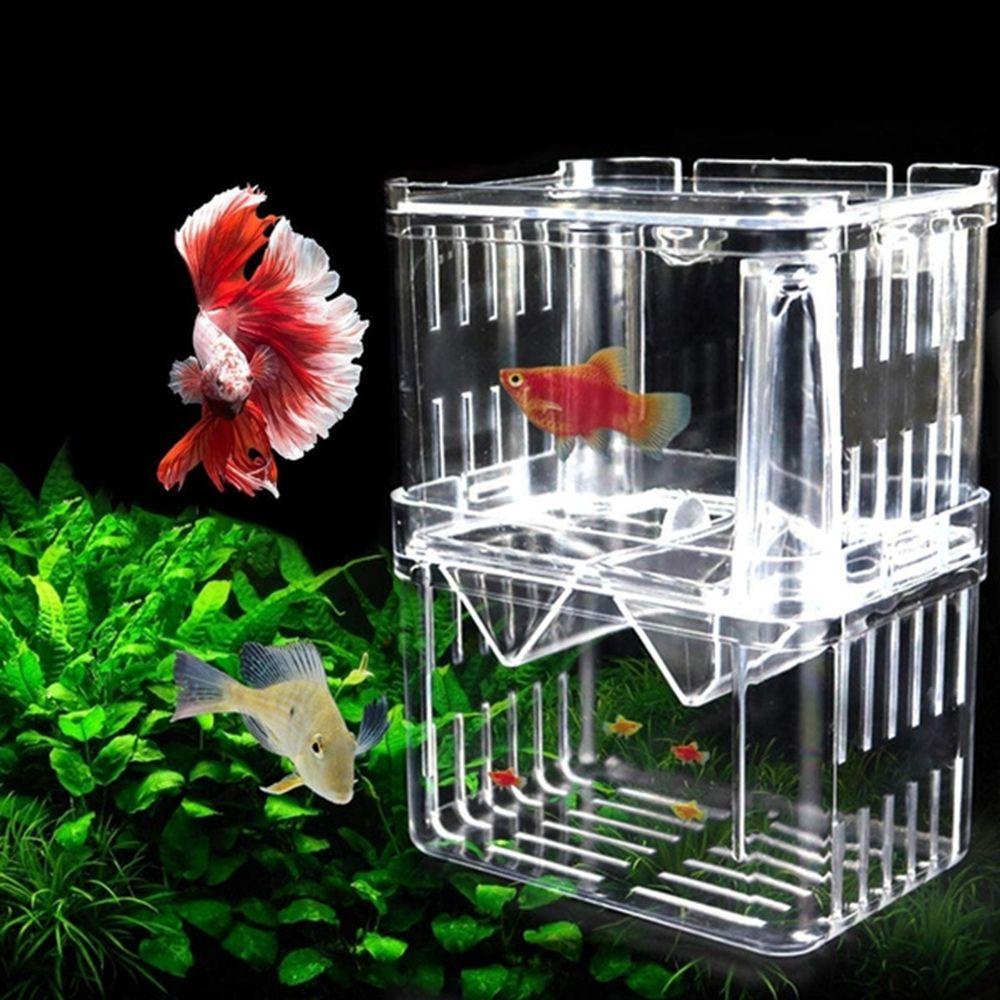 REBUY Rebuy Hatchery Multifungsi Akrilik Dengan Suction Cup Aquarium Isolasi Ikan Untuk Bayi Fishes Guppy Breastfeeding Box