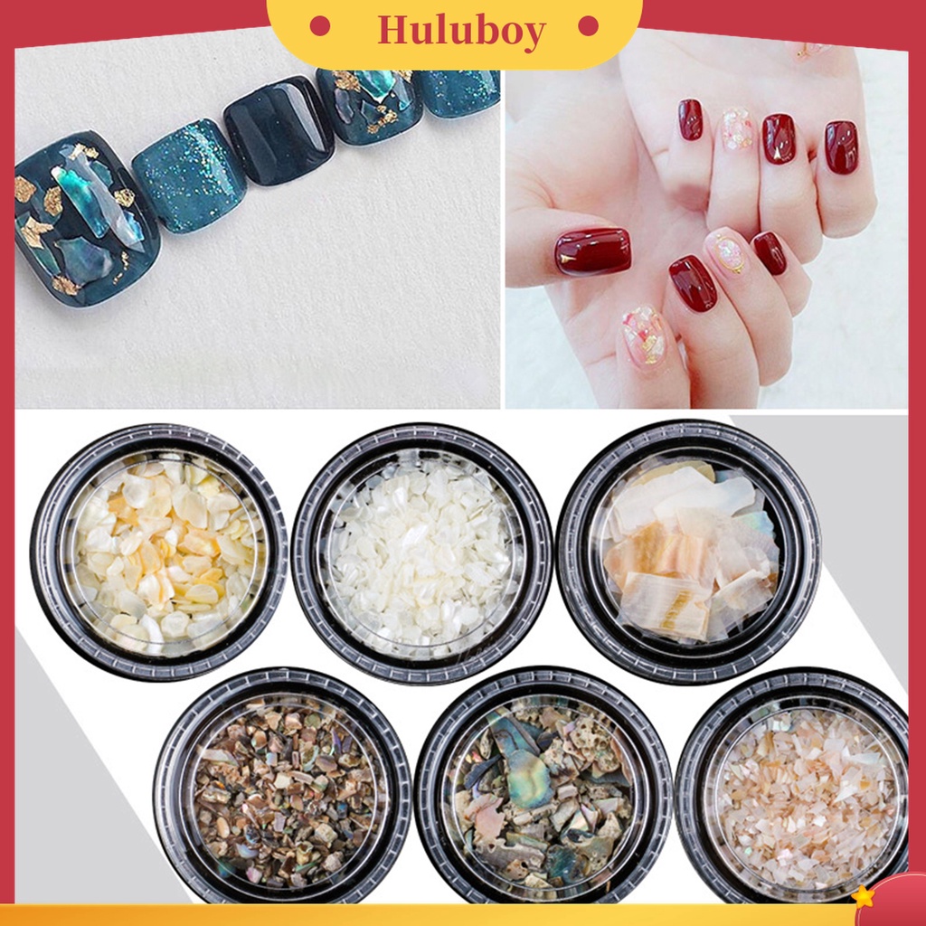 Huluboy Huluboy♡ 1 Kotak Irisan Kulit Kerang Alami Tidak Teratur Untuk Dekorasi Nail Art