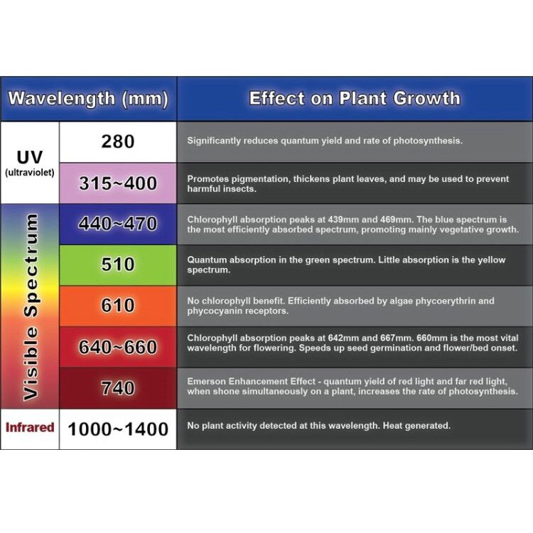 LED 1W Plant Grow Light Full Spectrum 400-840nm Lampu Tanaman Tumbuhan