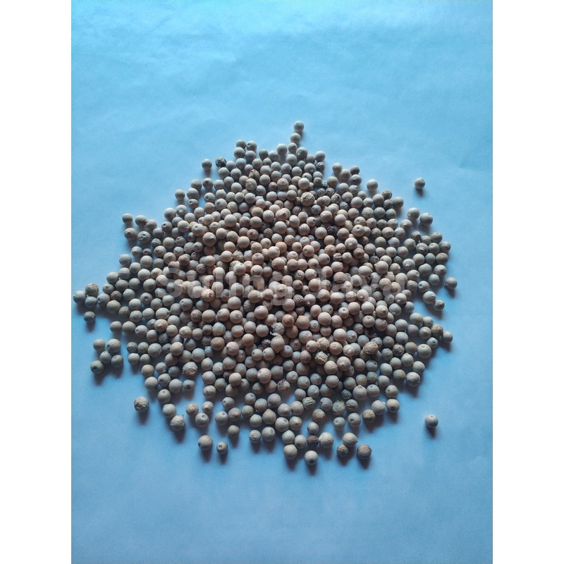 

Lada Putih Bangka Asli 100 gr