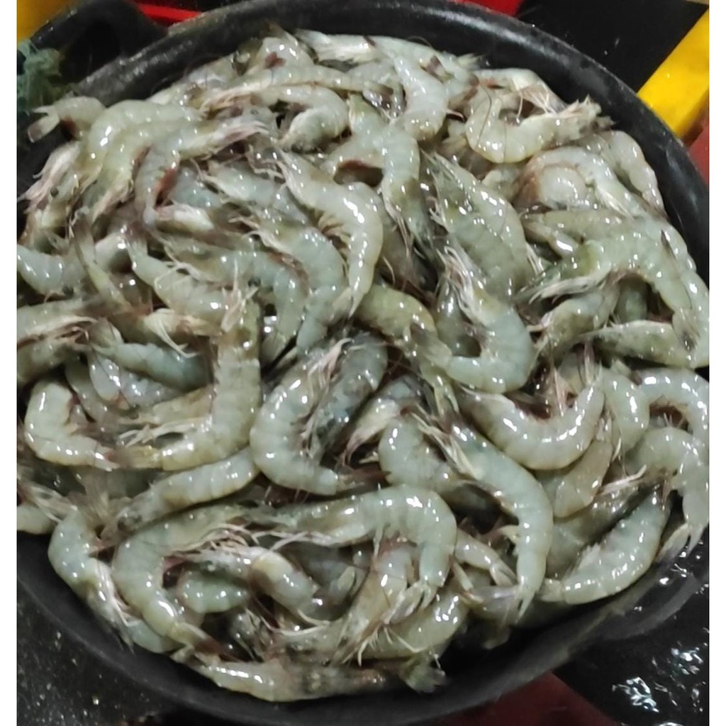 

Udang Vaname Segar Fresh 1/2Kg Export Quality