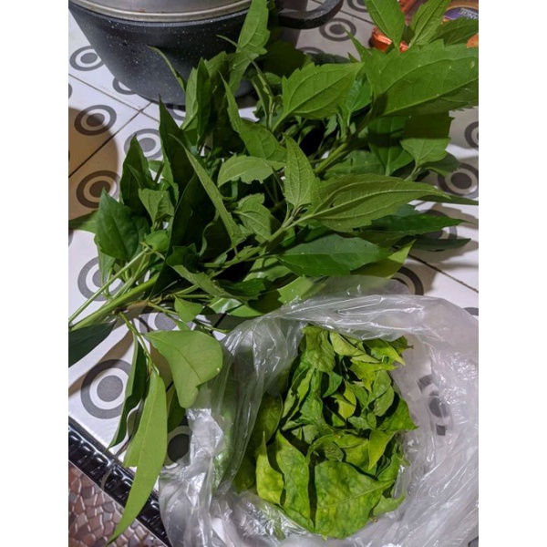 

daun balakacida 1kg