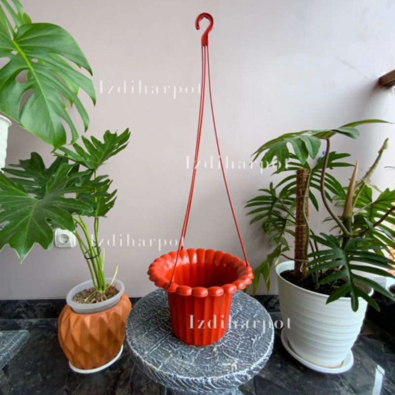 pot bunga tanaman gantung mawar merah bata 20cm - original