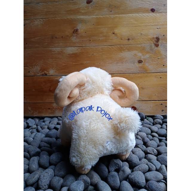 Boneka Domba Tanduk Size M