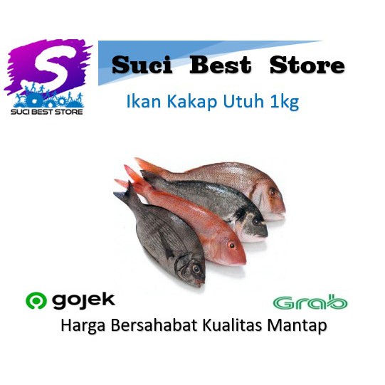 

Ikan Kakap Utuh Fresh 1kg Promo Bandung By Suci Best Store