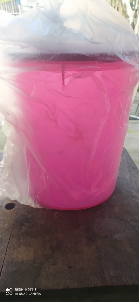 Giant Canister Flowrer (1 Pcs) Toples Tupwr