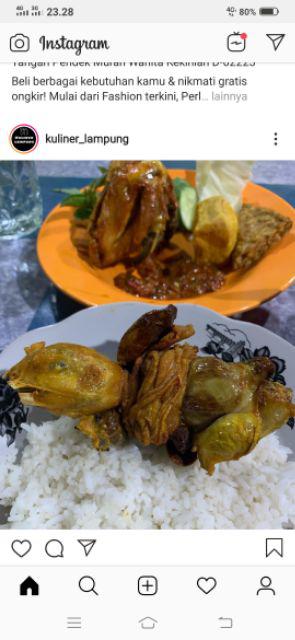 Batik Anak Laki Perempuan Premium Bisa Seragam