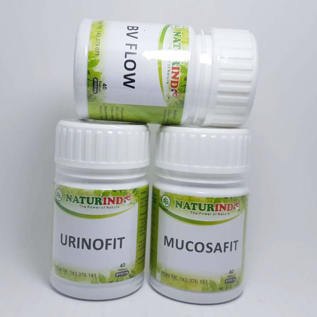 

Obat Herbal Mengobati Organ Ginjal System Sekresi/ Pembuangan Herbal Terapi Gagal Ginjal
