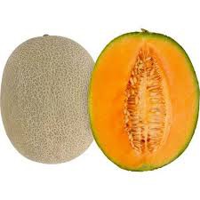 Benih/Bibit Rock Melon Okasa F1 (Bintang Asia)