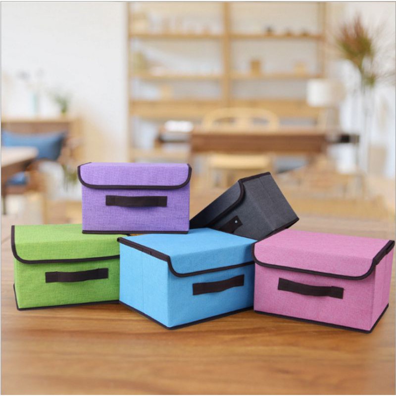 Tempat Penyimpanan (1pc dpt 2box) / 2 in 1 Colour Storage Box