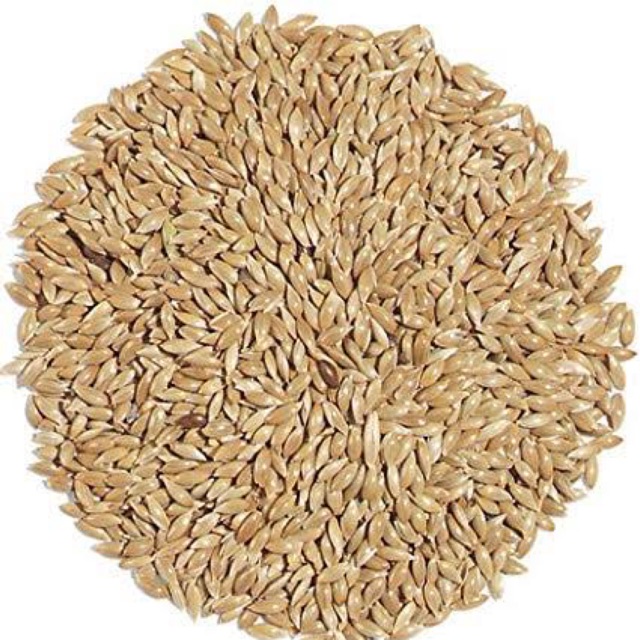 CANARY SEED BIJI KENARI SUPER