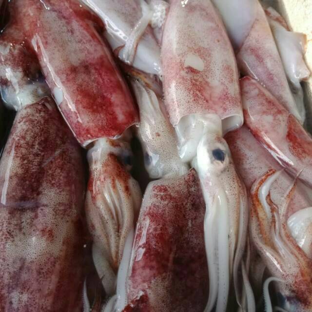 

Cumi Basah all varian 500 gr