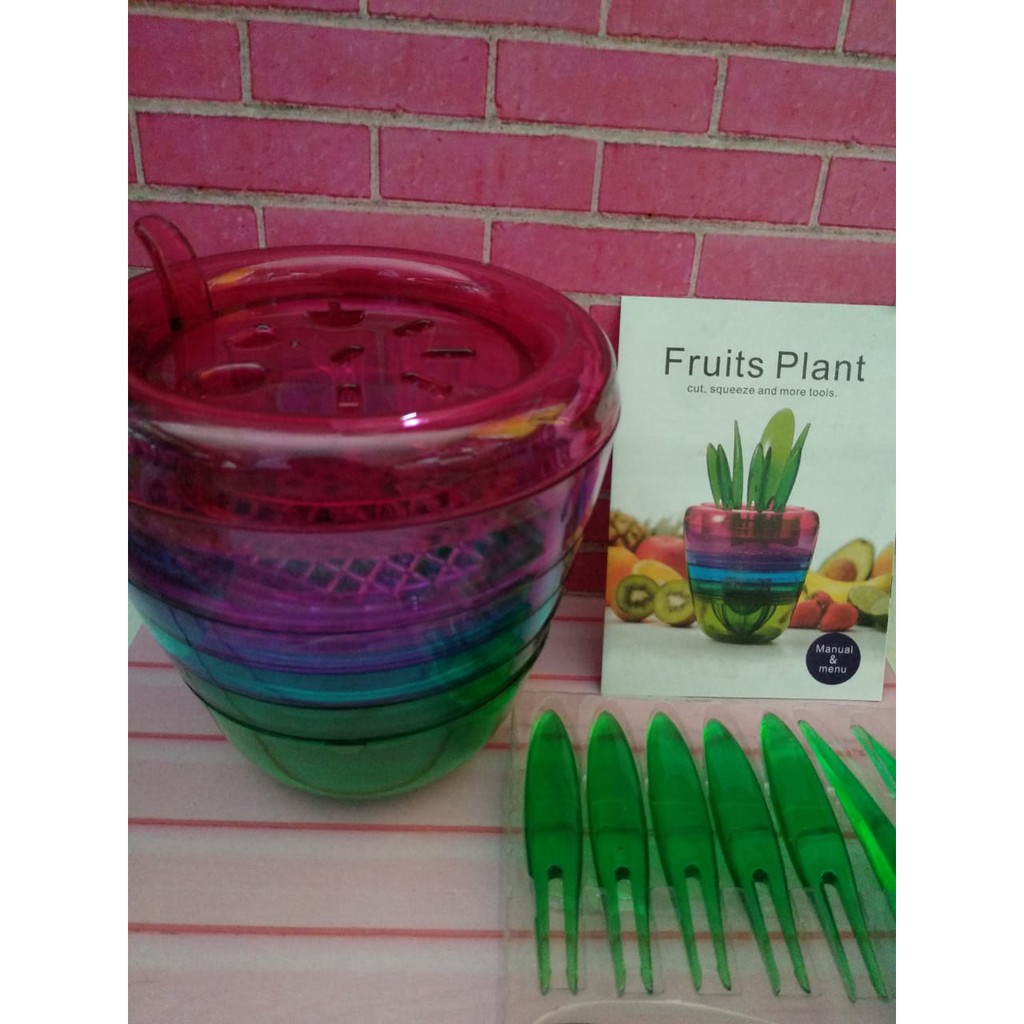 FRUIT PLANT 10IN1 / KITCHEN TOOLS MULTI FUNCTION / CUTTER DLL