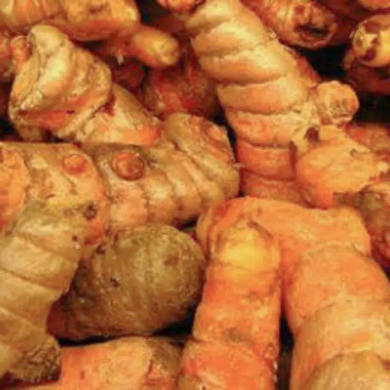 

KUNYIT SEGAR murah 500gr murah