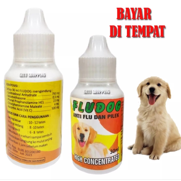 OBAT DEMAM FLU PILEK HEWAN ANJING FLU DOG