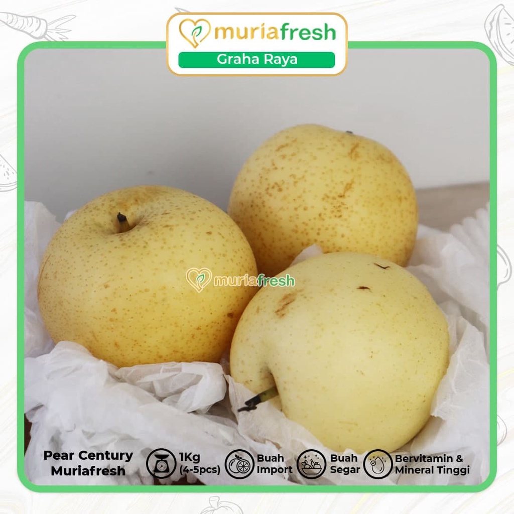 

Pear Century MURIAFRESH 950-1050 Gram PREMIUM - Pir century - buah pir - buah pear | Bergaransi