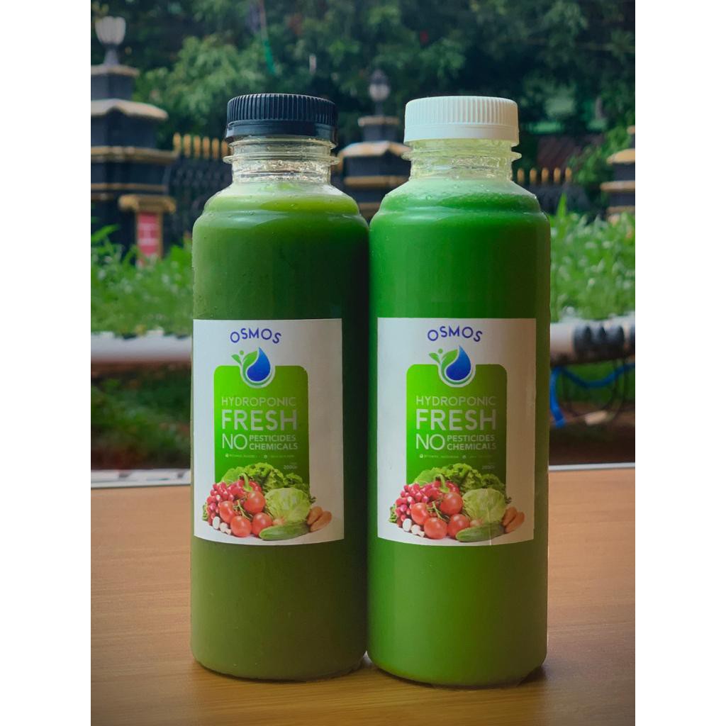 

Juice Obat Maag, Perut Kembung, Asam Lambung, Perut Begah, Obat Alami Maag