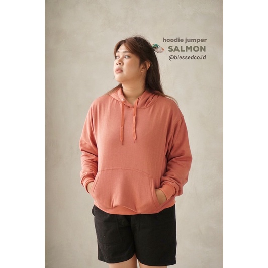 Hoodie Jumper Salmon