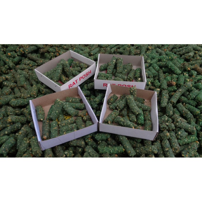 Racun Tikus Ikan Asin (Terbukti pasti DIMAKAN & AMPUH)