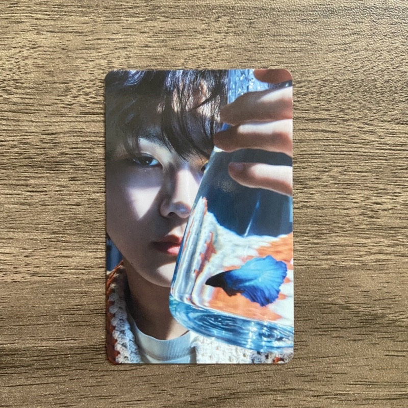 (READY) JUNGWON CUPANG LIMITED B SOLJACK SENKOU JAPAN JP ENHYPEN DIMENSION JW JUNGWOON LIM B //  lim