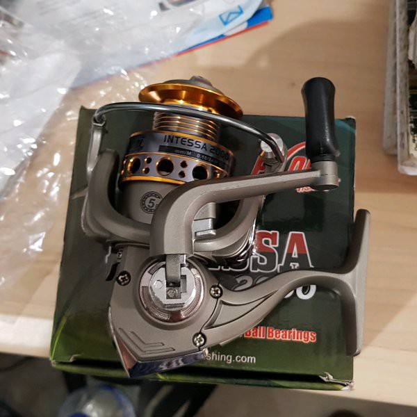 reel exory intessa 2000