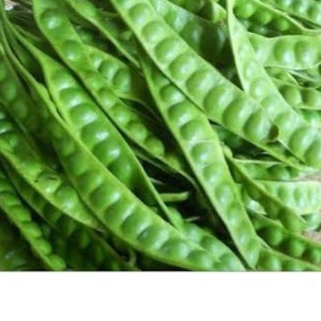 

BESTSELLER Pete 1 papan