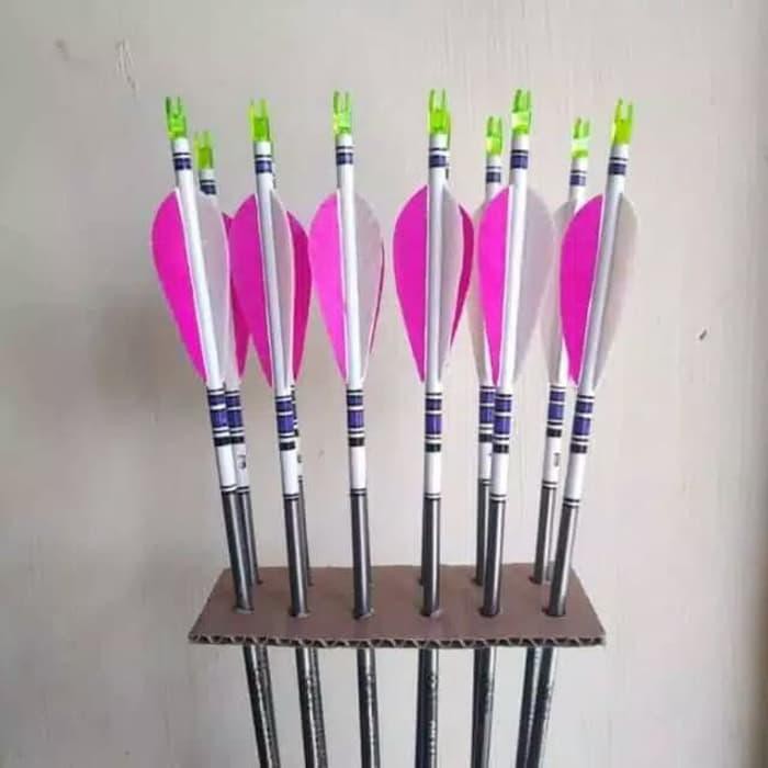 Olahraga / Arrow Easton Platinum 12 Pcs Vanes Bulu Entok
