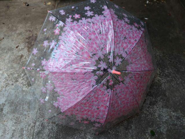 Sale Payung Transparan Grc Bening Corak Sakura Jepang Korea Py756 .