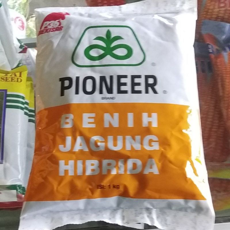 Benih Jagung Pioner P36 1Kg