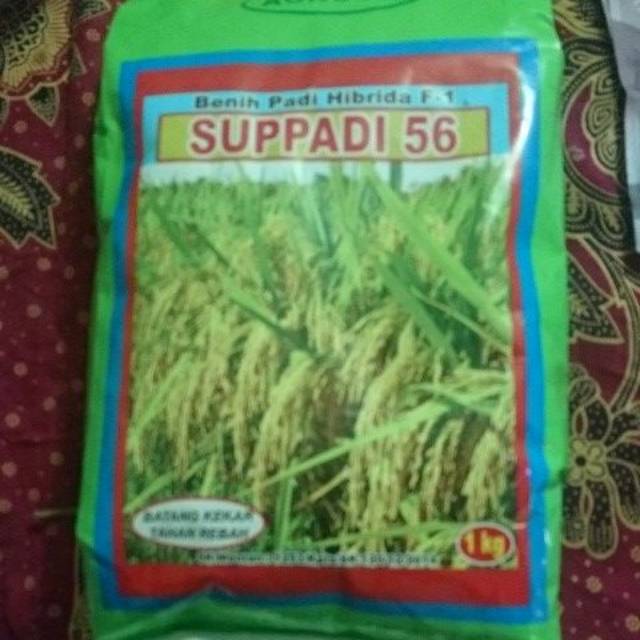 Supadi 56