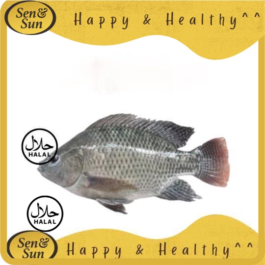 

Sen&Sun Ikan Nila Hitam 500 gr