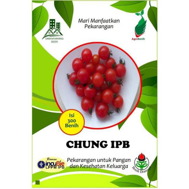 Benih biji Tomat Cherry Chung IPB