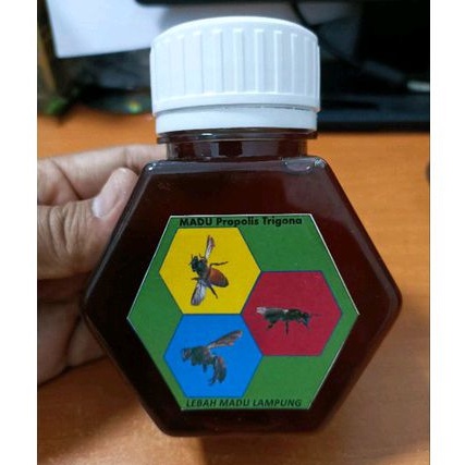 

Madu Propolis Trigona YeSS