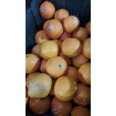 

jeruk sankit madu 1kg