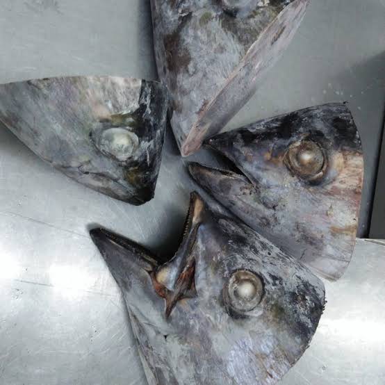 

Ikan Tuna Fresh Frozen Segar Enak Olahan Makanan Seafood
