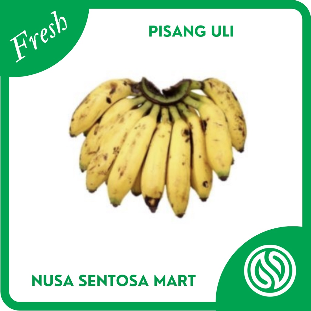 

Buah Pisang Uli 1 Sisir Segar