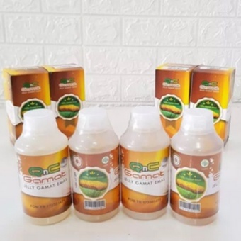 Obat Rematik Asam Urat Sendi Tulang dan Kolesterol Nyeri Sendi Herbal Qnc Jelly Gamat 300 Ml BPOM dan Halal MUI 100% Original