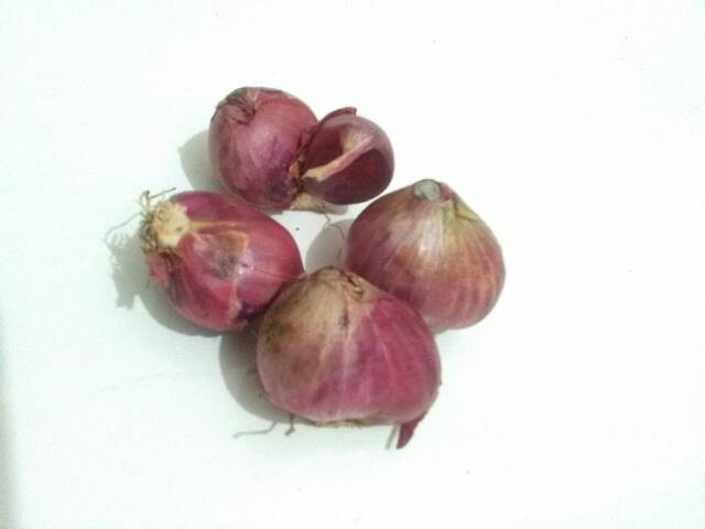 Bawang Merah 1 kg  Shopee Indonesia