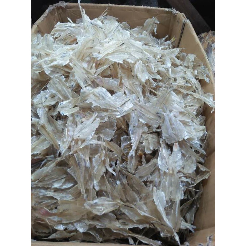 

Ikan Pakang / Ikan bulu Ayam (Tawar) Asli dari Medan per1kg