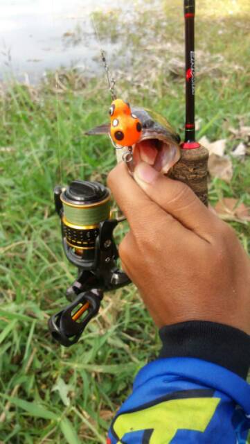 SOFT FROG MICRO KILLER 2 CM