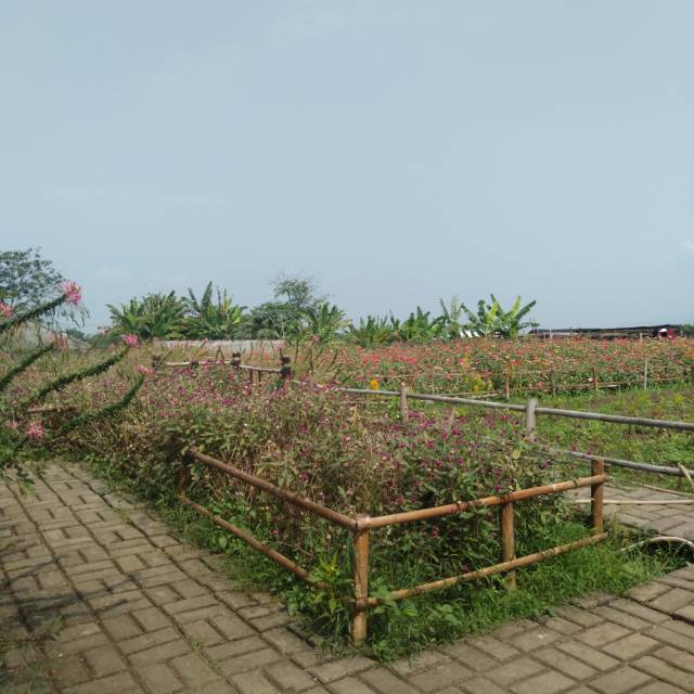 pu23012016