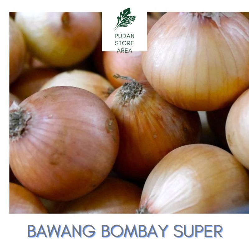 

BAWANG BOMBAY SUPER 500 GRAM