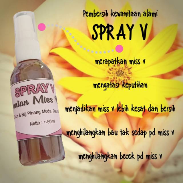 SPRAY MISS V / PERAWATAN MISS V