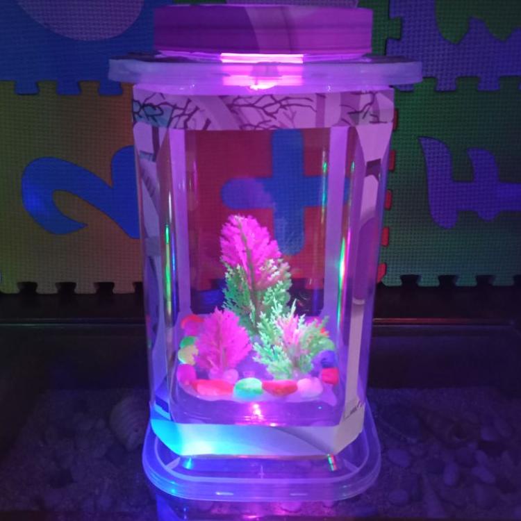 Bagus Dipakai.. Aquarium Ikan Cupang Hias Mini Bentuk Persegi Hiasan Kamar Tidur Lampu Warna Akuariu