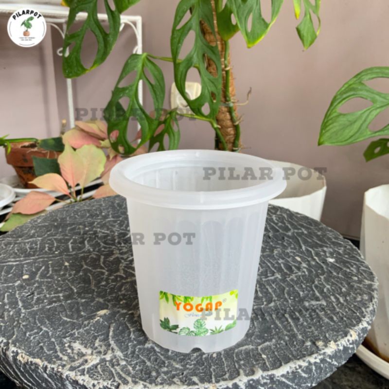 Pot Bunga Tanaman Tinggi Yogap 9,5 Cm YPT 8 Bening Bahan Tebal - YOGAP YPT 8 BENING TRANSPARAN