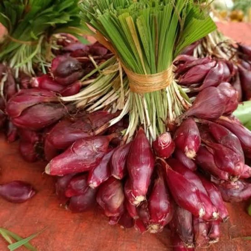 

Bawang Dayak Segar Organik 1 kg