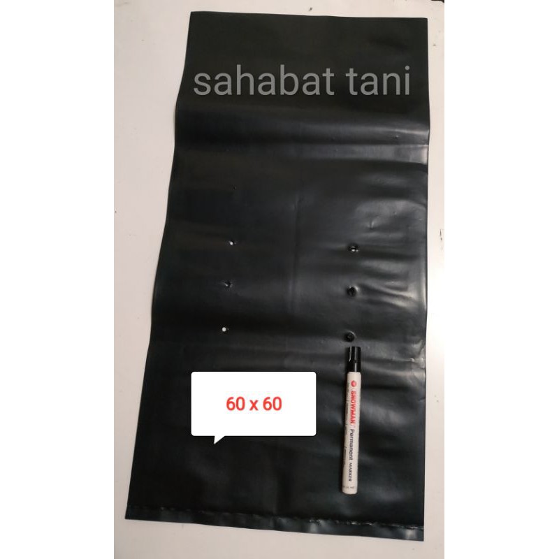 POLYBAG 60X60 CM POT PLASTIK