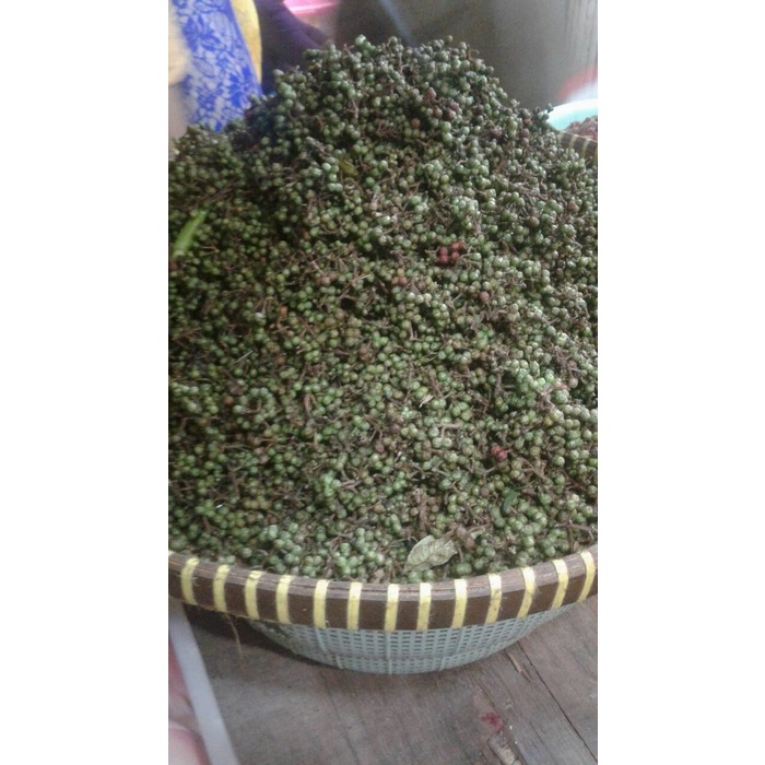 

Fe01Gg Andaliman 100 Gr F30E1F111