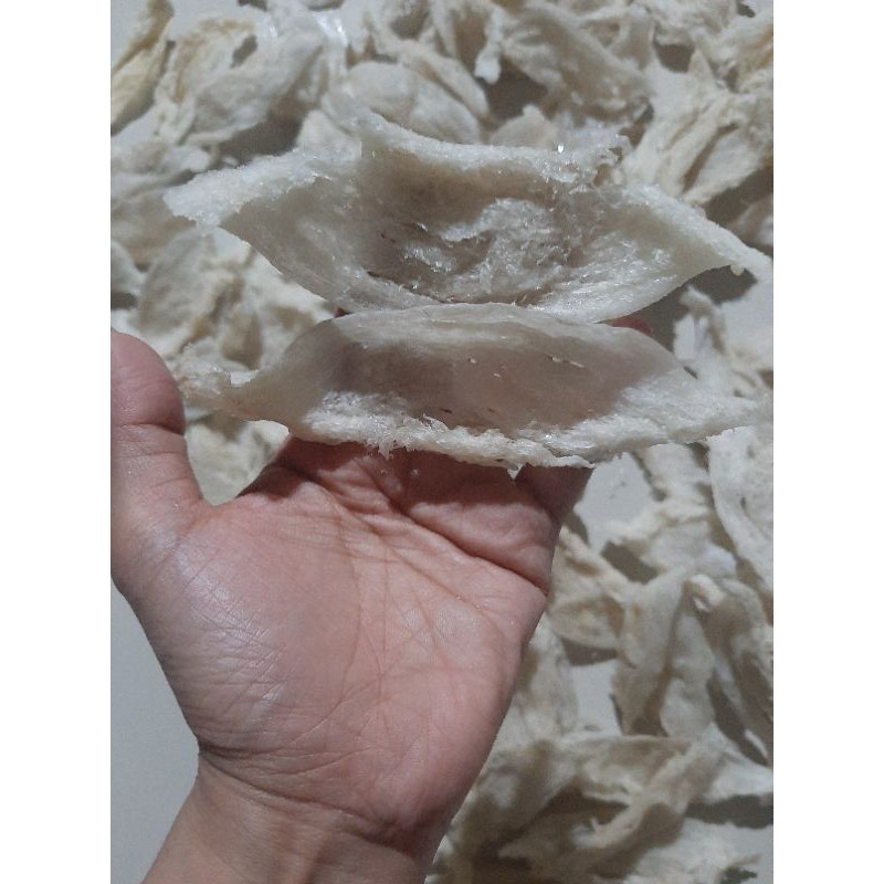 

patahan panjang