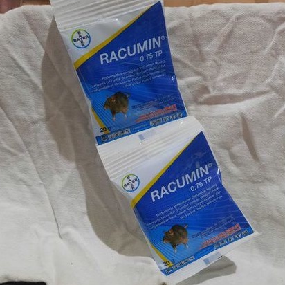 Racumin Racun Tikus